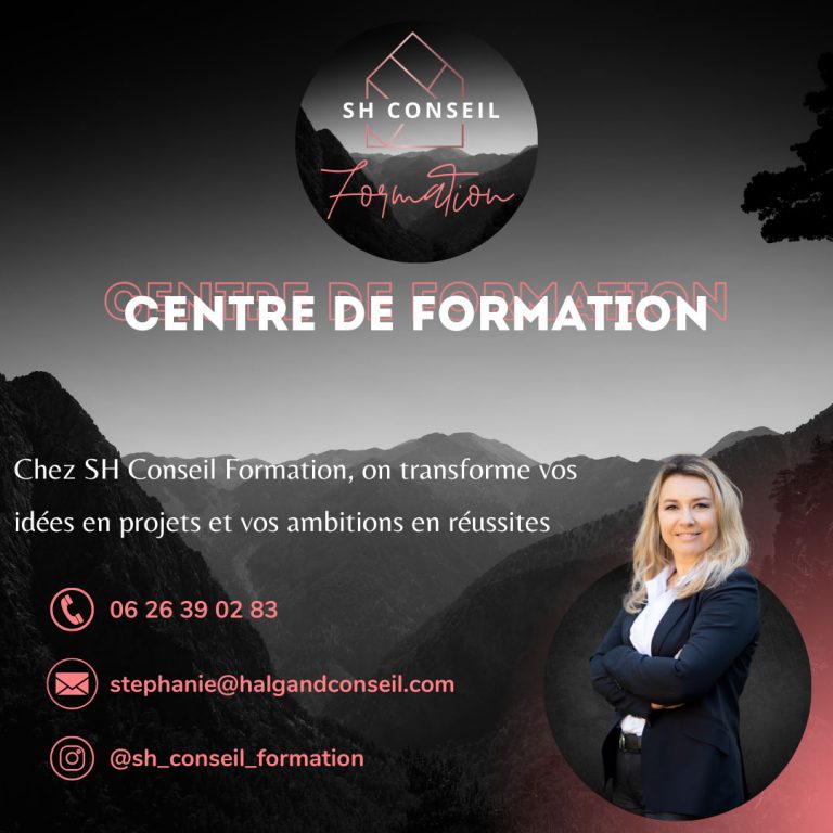 SH Conseil Formation - Mise en relation Mise en relation 768x768