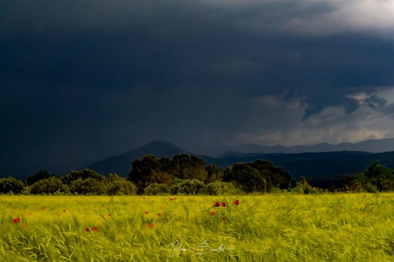 Olivier Bouillet Photographie - Mise en relation 497772249 17846841030472897 2065844879535392006 n 768x512