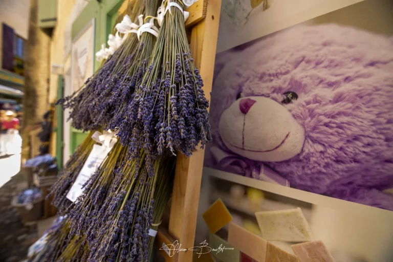 Olivier Bouillet Photographie - Mise en relation 505425366 17850425661472897 2483320642926220658 n 768x512